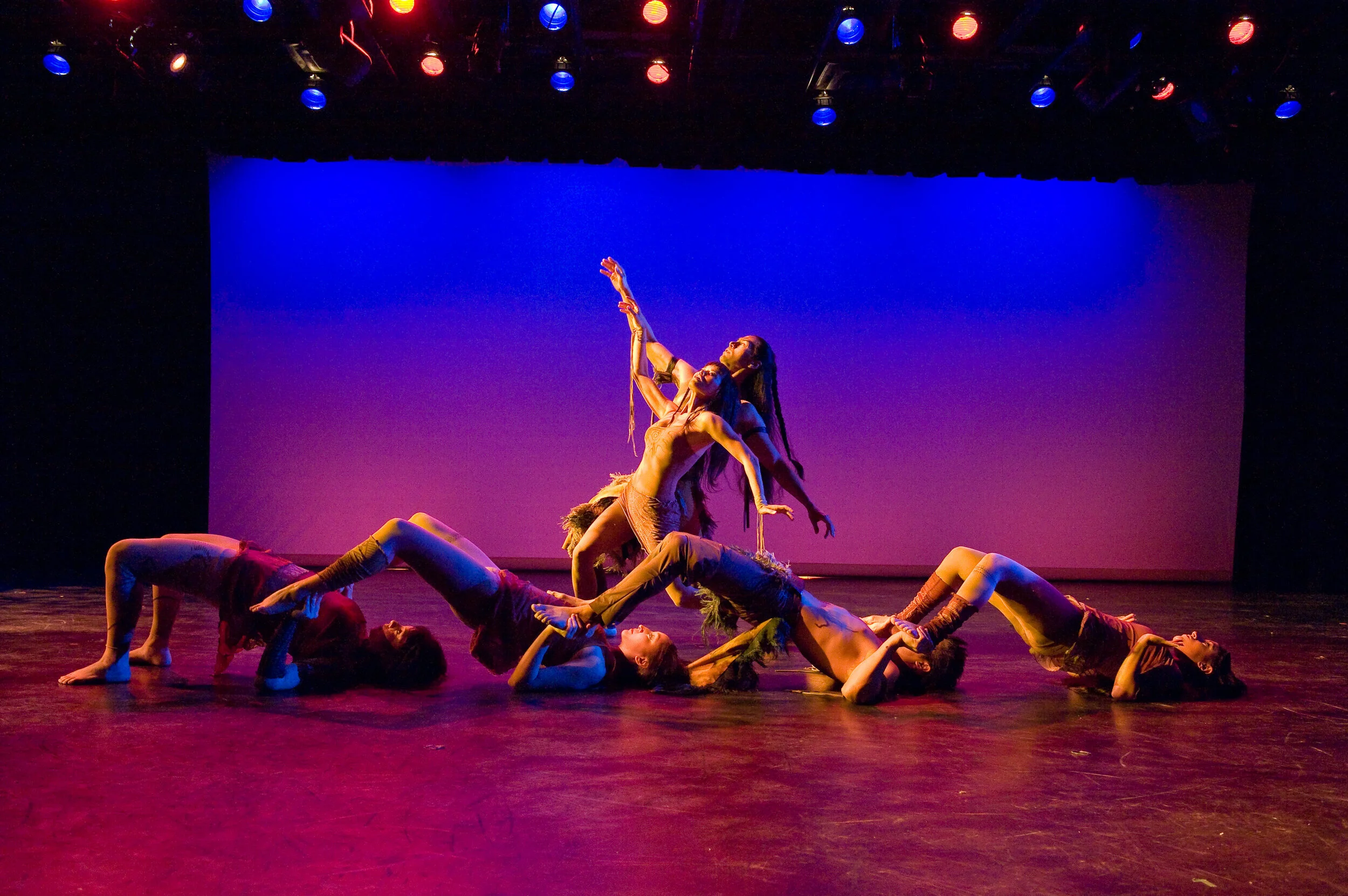 About Dancing Earth — Dancing Earth Creations